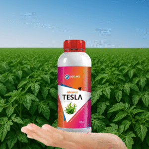 Advance Tesla