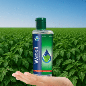 Wetsil