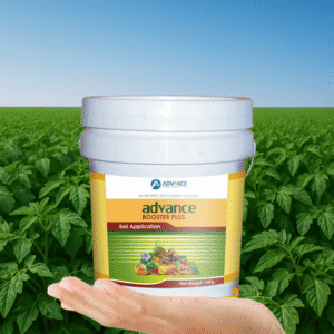 Advance Booster Plus GR