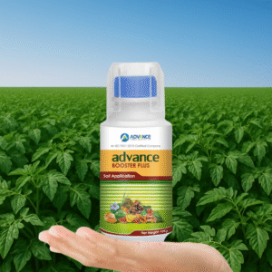 Advance Booster Plus