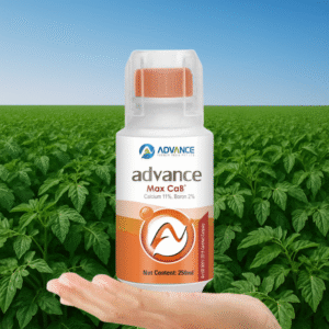 Advance Max Caв+