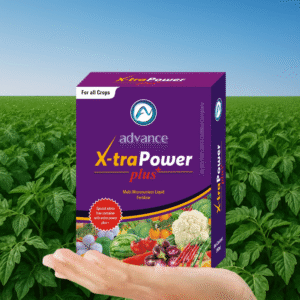 Advance X-tra Power Plus
