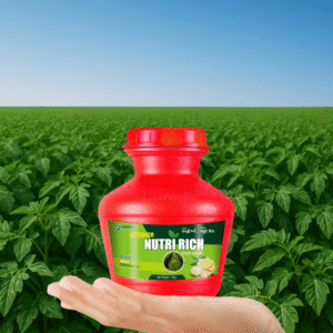 Advance Nutririch Gr