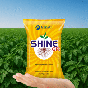 Shine GR