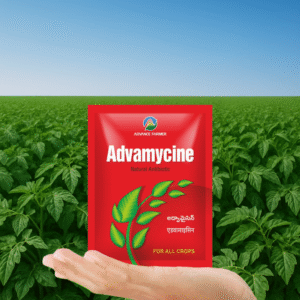 Advamycine