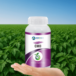 Organo CMB