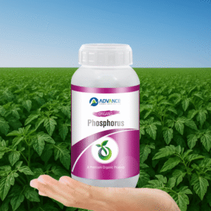 Organo Phosphorus