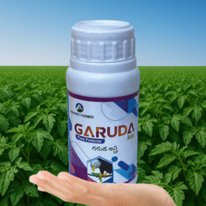 Garuda Astra