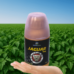 Jaguar Gold