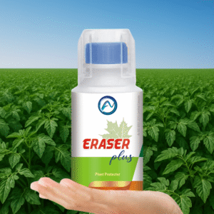 Eraser Plus
