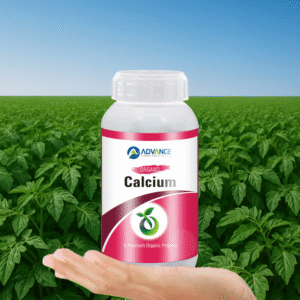 Organo Calcium