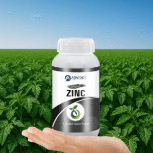 Organo Zinc