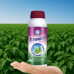 Eraser