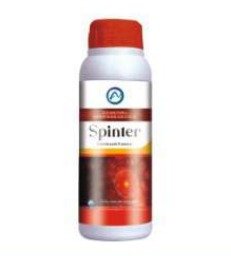Spinter